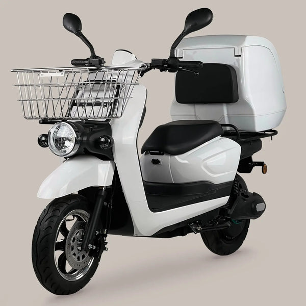 FRISON PRO CARGO AR Motorsport