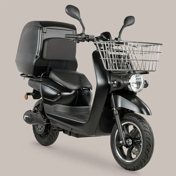 FRISON PRO CARGO AR Motorsport