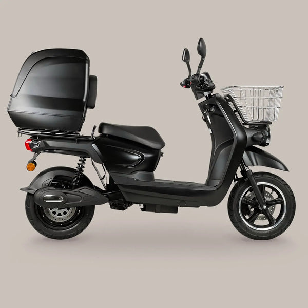FRISON PRO CARGO AR Motorsport