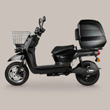 FRISON PRO CARGO AR Motorsport