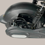 FRISON PRO CARGO AR Motorsport