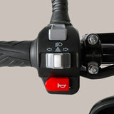FRISON PRO CARGO AR Motorsport