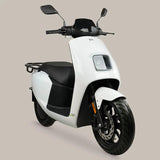 FRISON T66 D AR Motorsport